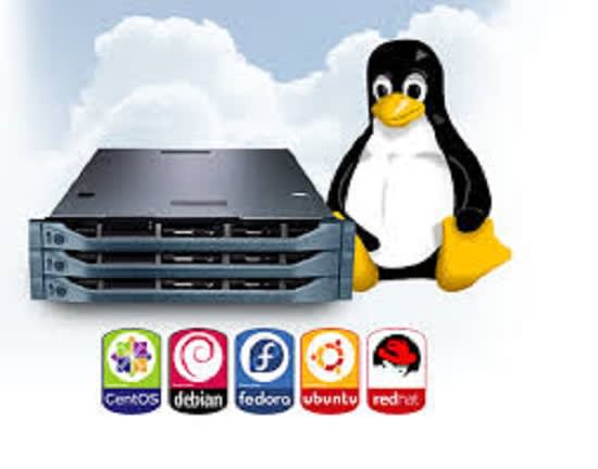 I will linux server setup,cpanel,wordpress,apache,postfix etc