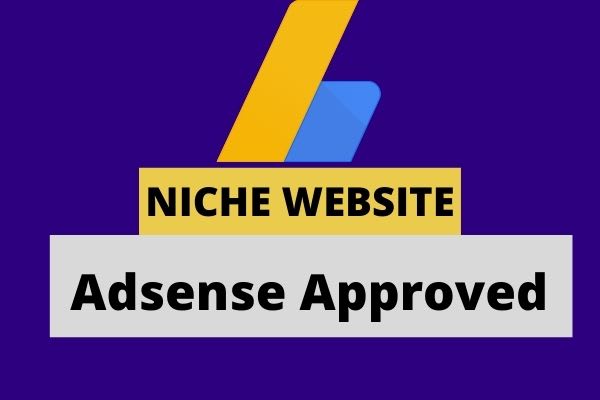 I will make niche website for google adsense approval