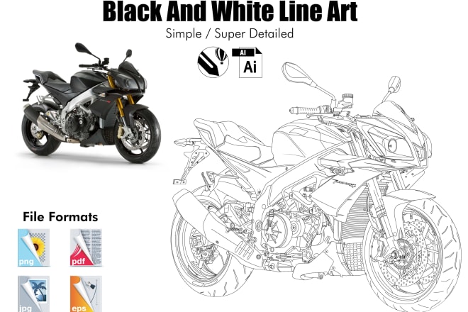 I will make vector line art or super detailed illustration vector