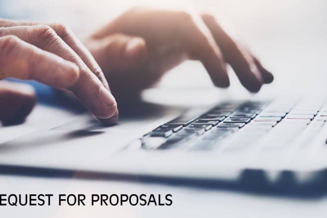 I will make winning rfp, rfq, rfi, grants and proposals