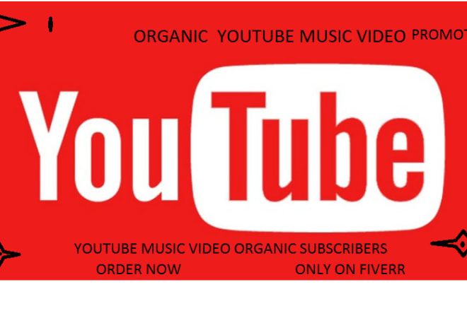 I will market youtube music video promotion
