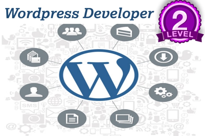I will modify edit or customize your wordpress blog website