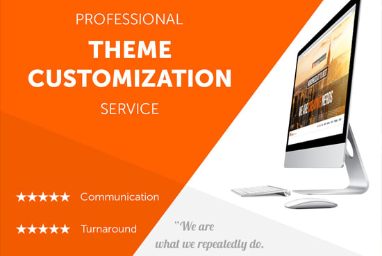 I will professional wordpress theme customization and modification