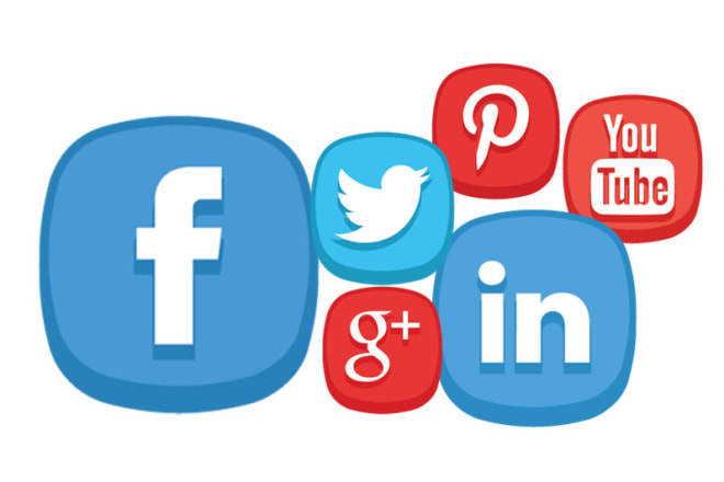 I will provide social media marketing services at cheap rates