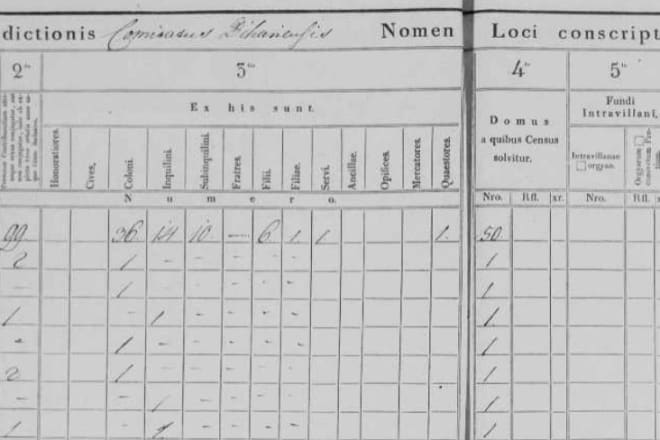 I will research and make your family tree, also manage it