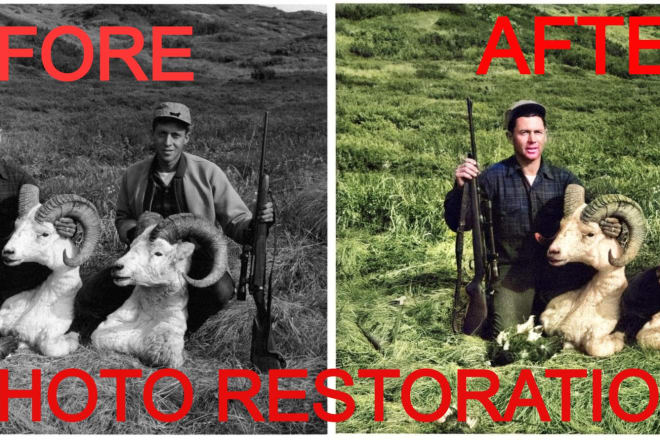 I will restore and colorize your old photos