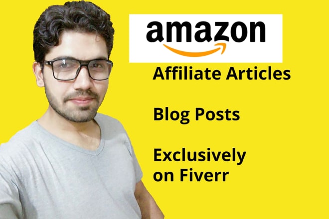 I will write amazon affiliate articles and blog posts