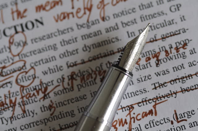 I will be the editor for your novel