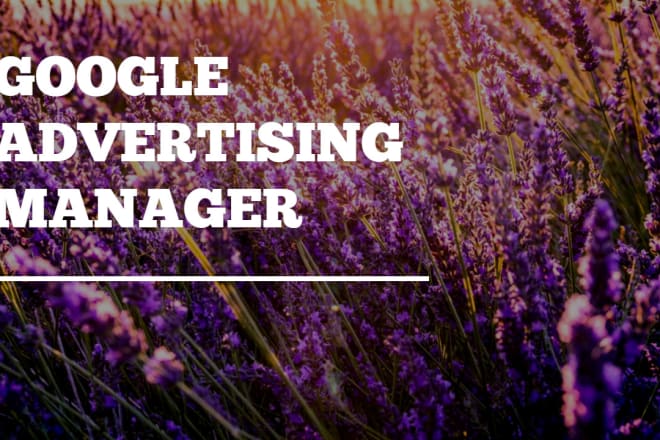 I will be your google advertising manager