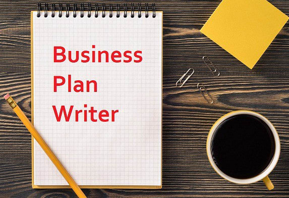 I will be your professional business writer, business plan