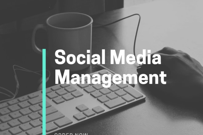I will be your social media manager