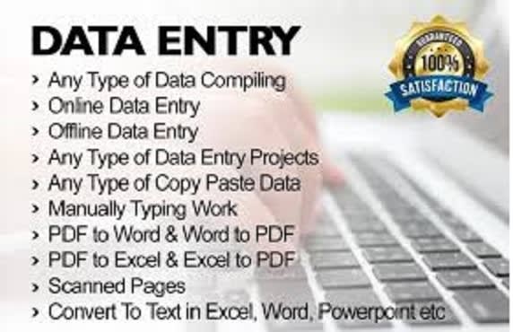 I will be your virtual assistant for data entry and web research