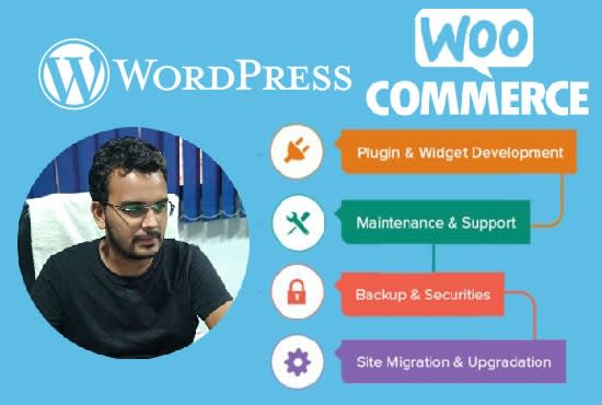 I will be your wordpress dedicated developer