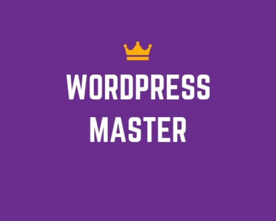I will be your wordpress expert