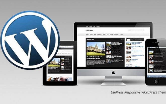 I will best e commerce development and plugin development