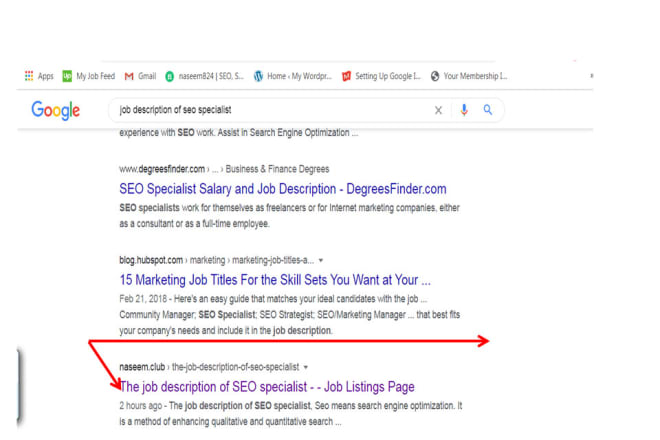 I will boost wordpress ranking with indexing API and advanced schema markup