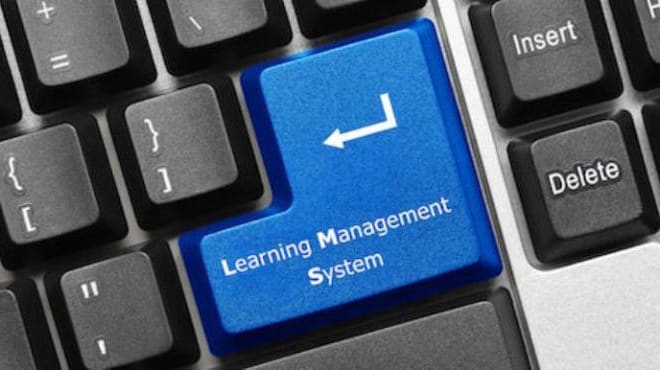 I will build an online learning website or lms wordpress