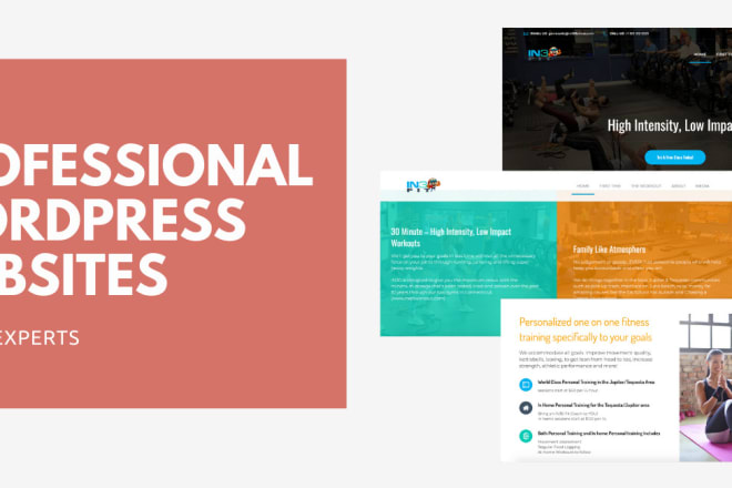 I will build professional wordpress website or blog