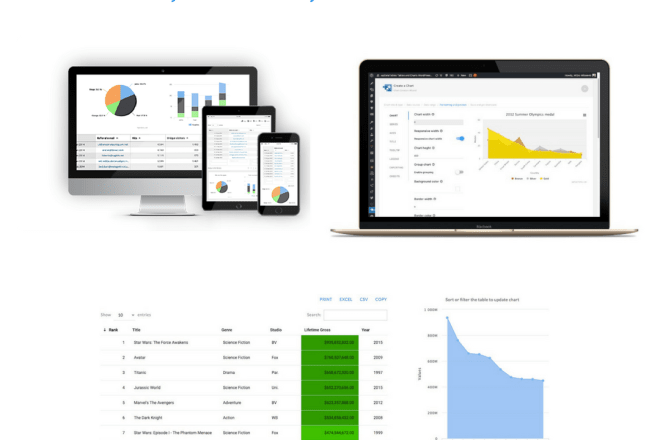 I will build responsive charts and tables in wordpress