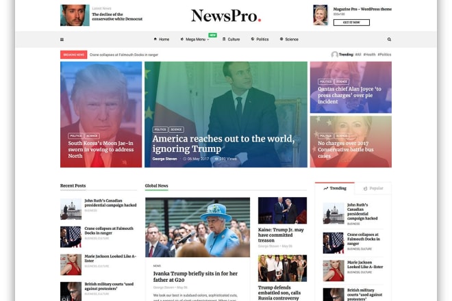 I will build responsive wordpress news website