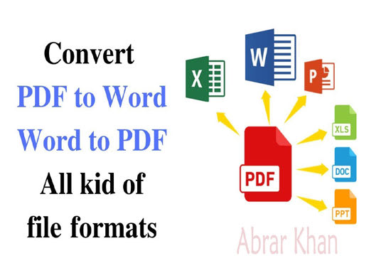 I will convert pdf to word or excel