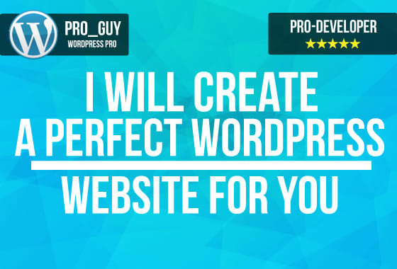 I will create a perfect wordpress website