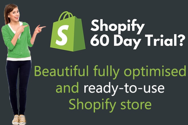 I will create a professional shopify store, great dropship website
