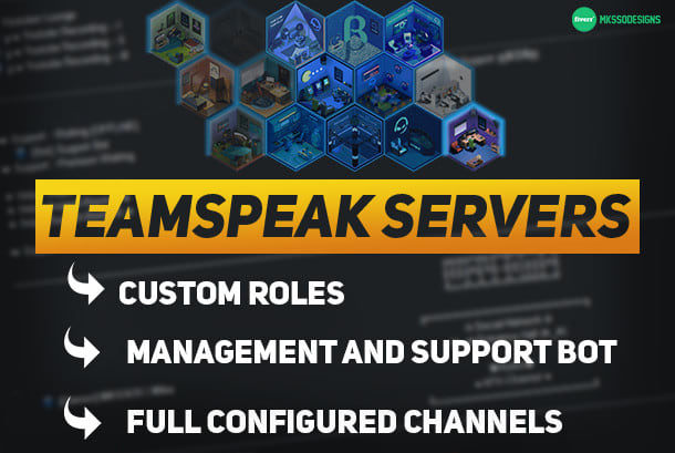 I will create you a professional teamspeak server