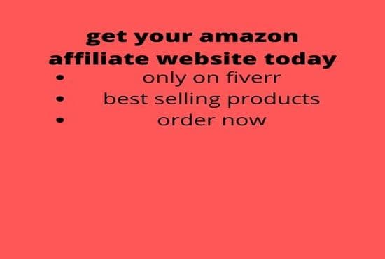 I will create your profitable autopilot amazon affiliate website