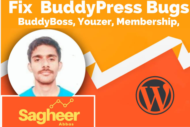 I will customize buddypress, fix buddypress bugs and issues