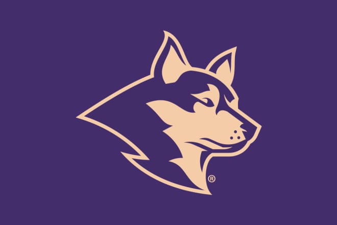 I will design a professional logo for your school or sports team