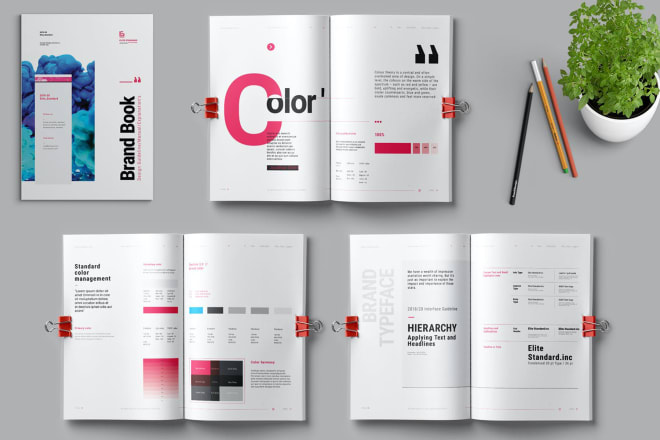 I will design brand guidelines for you