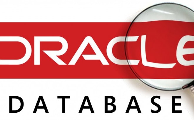 I will design erd,develop normalized database using oracle, mysql,sql server,