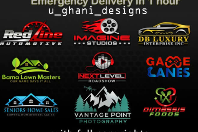 I will design minimalist versatile and custom modern redesign business logo creation
