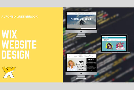 I will design or redesign a professional wix site