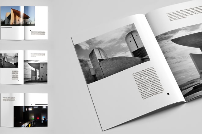 I will design stylish brochure for you