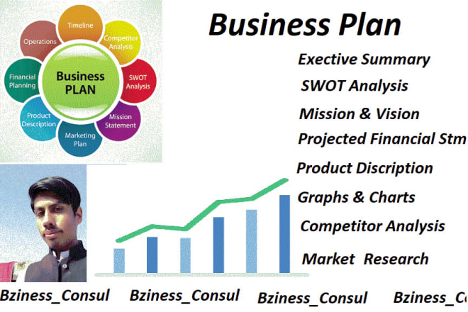 I will develop a business plan, startup, proposal, pitch deck, business plan writer