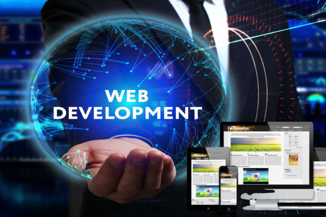 I will develop a responsive affordable business website for you