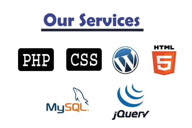 I will do any php script, laravel script, web programming