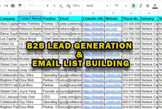 I will do b2b lead generation for your targeted business