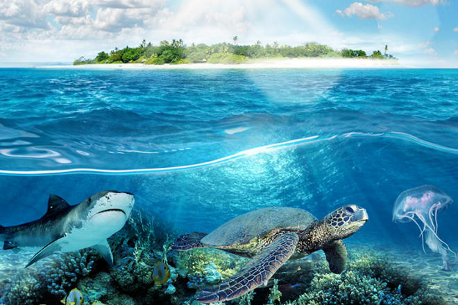I will do creative image manipulation