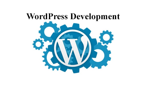 I will do custom wordpress development