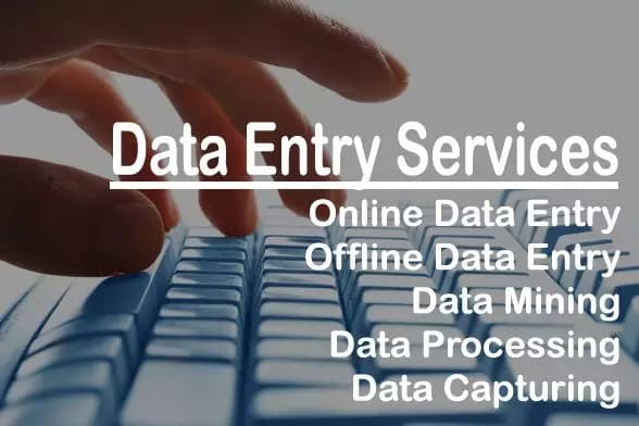 I will do data entry for both online and offline excel or spreadsheet