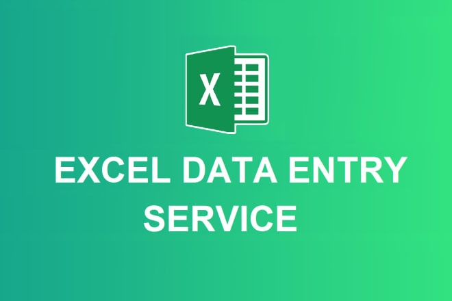 I will do excel data entry