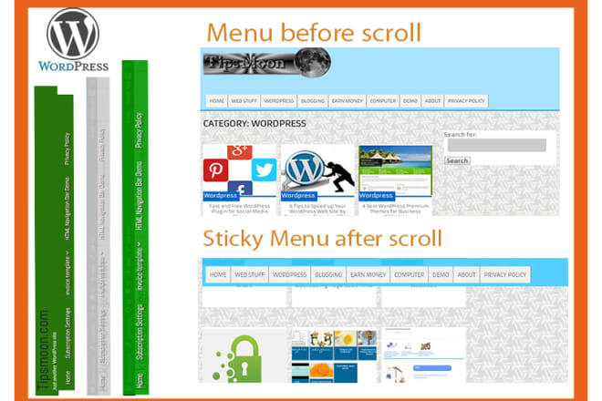 I will do sticky wordpress menu or other css customization