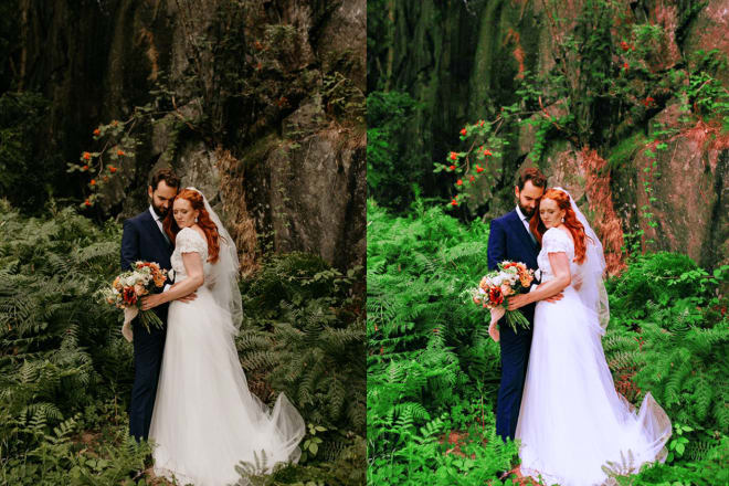 I will do the wedding, newborn photo and family photo editing