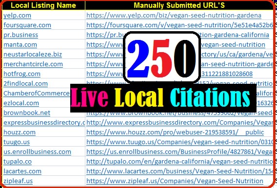 I will do top 250 live local citations for local SEO rank