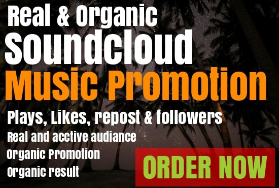 I will do viral hip hop soundcloud promotion