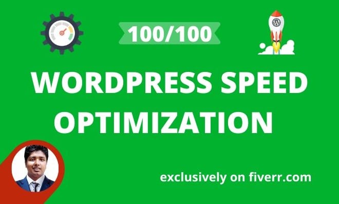 I will do wordpress speed optimization with gtmetrix page speed