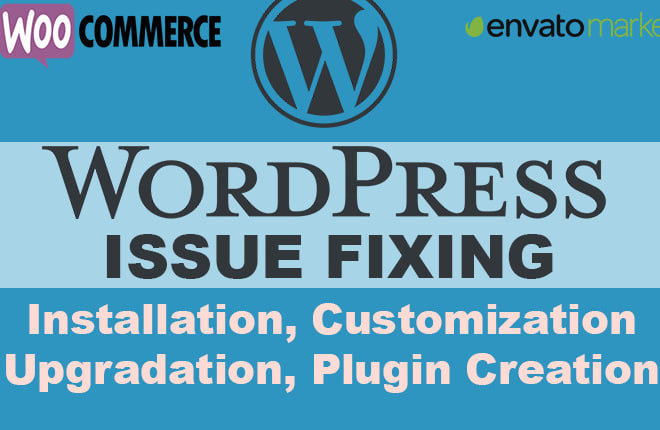I will edit, update, redesign, customize, fix wordpress website